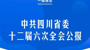 划重点！一图速览中共四川省委十二届六次全会公报