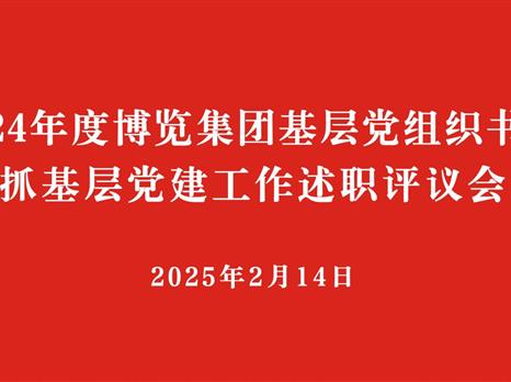 博览集团党委召开2024年度所属公司党组织书记抓基层党建工作述职评议会议